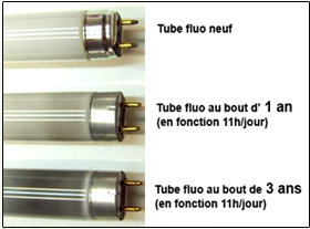 tube fluo dans le temps dégradation du flux lumineux